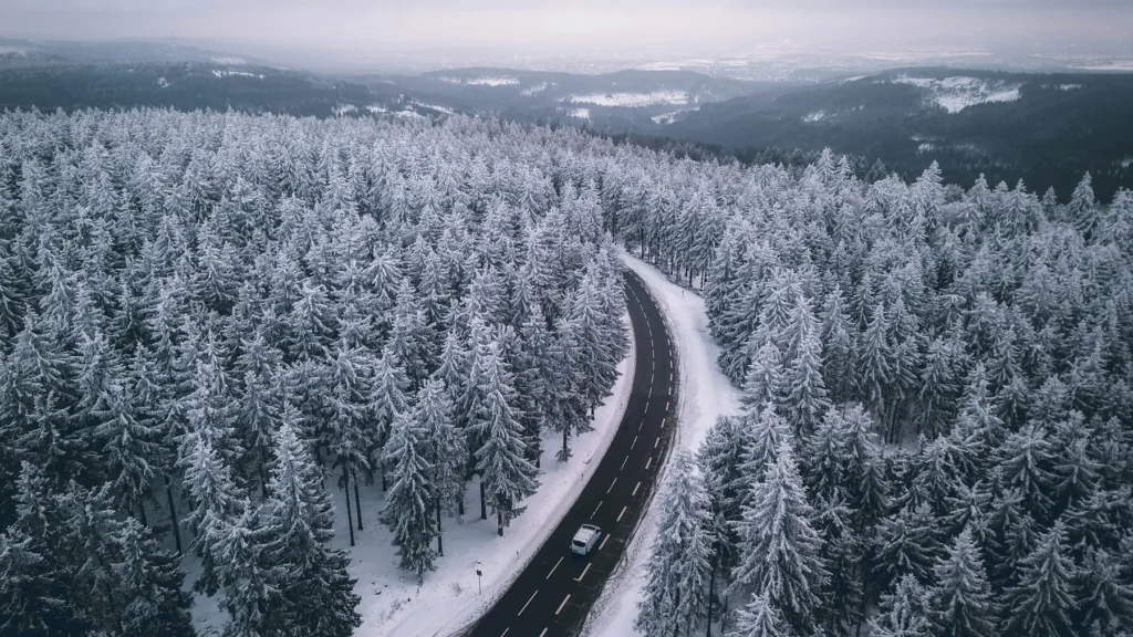 This is a test image caption